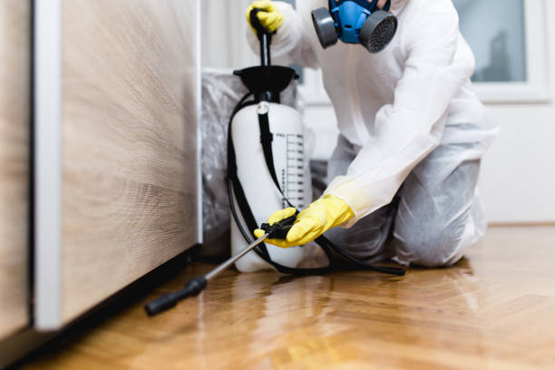 Best Local Pest Control Services  in Nokomis, FL