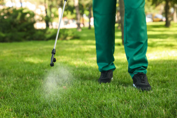 Professional Pest Control in Nokomis, FL